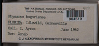 Image Associated With the Occurence